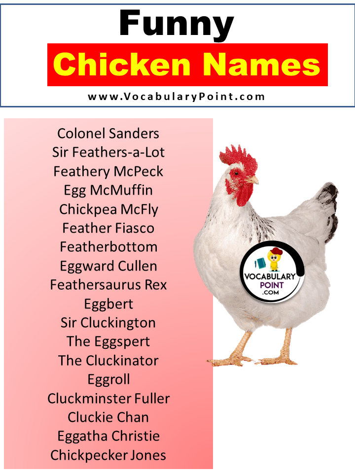 Funny Chicken Names