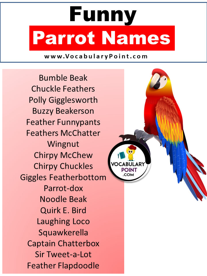 Funny Parrot Names