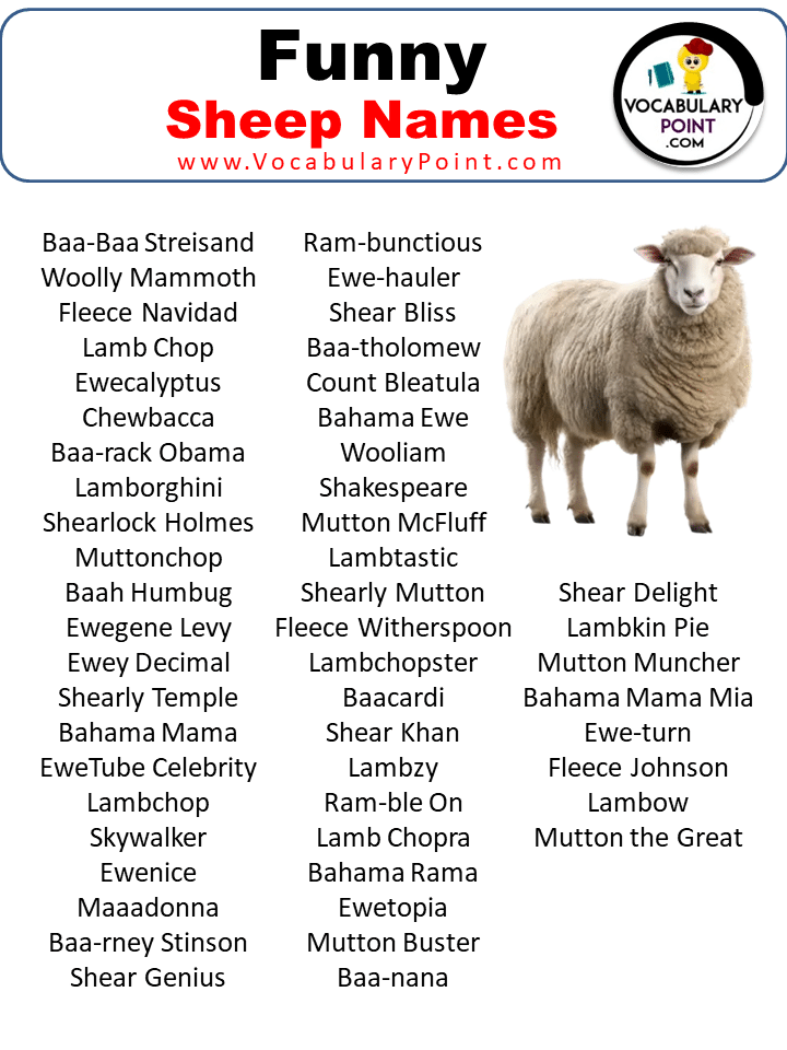 Funny Sheep Names