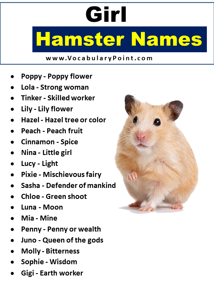 Girl Hamster Names