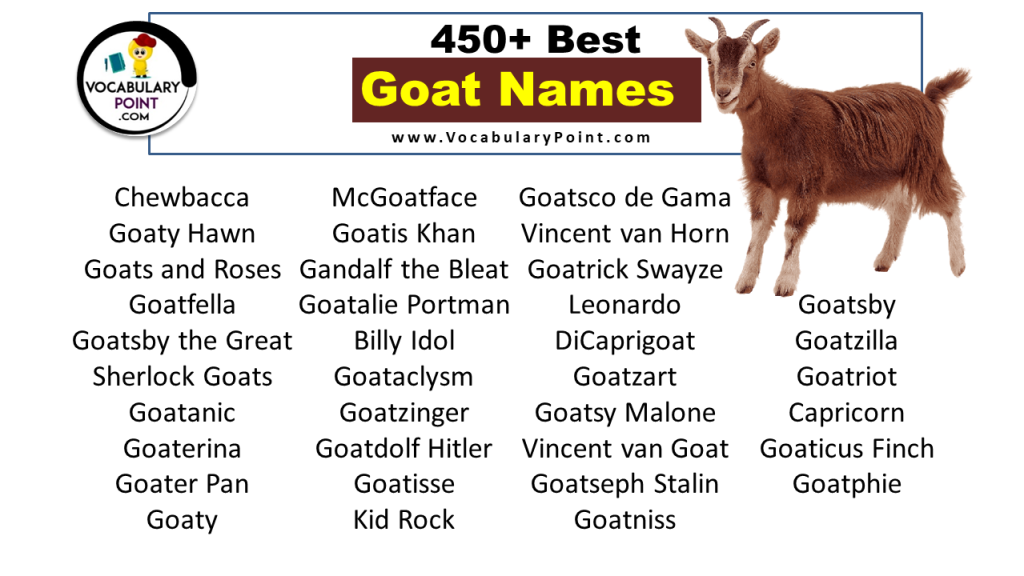 450+ Best Goat Names (Pet, Cute & Funny) - Vocabulary Point