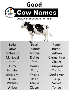 250 + Best Cow Names (Cute, Funny& Unique) - Vocabulary Point