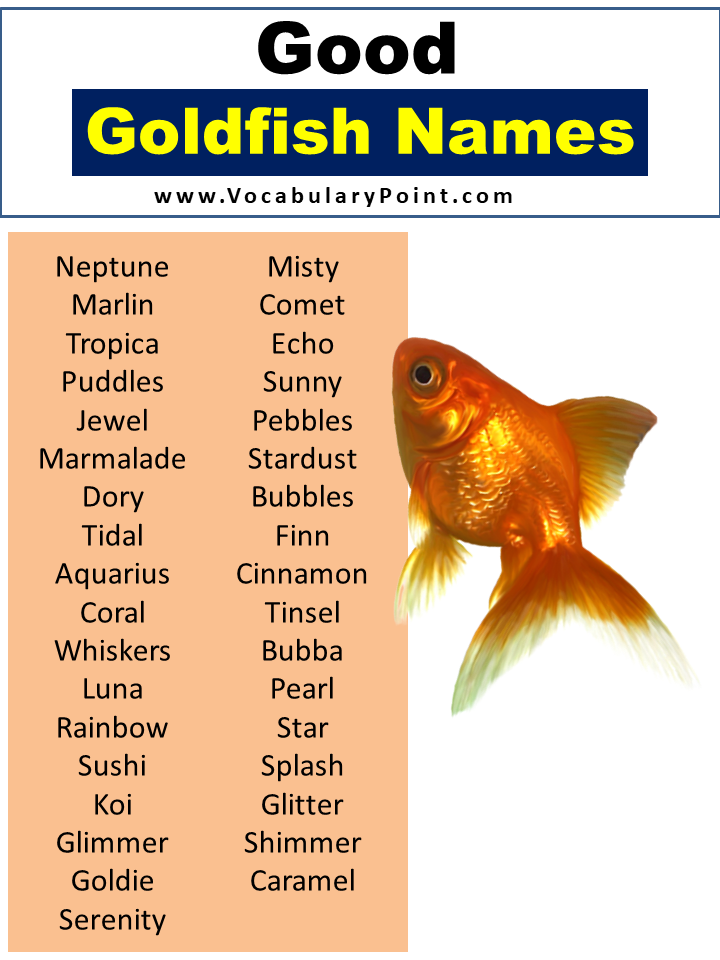 Good Goldfish Names