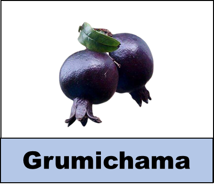 Grumichama