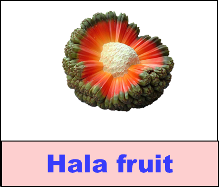 Hala fruit
