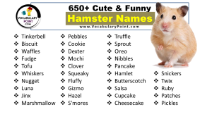 650+ Hamster Names (Cute, Funny, Boy & Girl) - Vocabulary Point