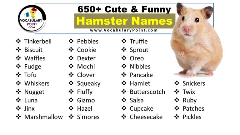 650-hamster-names-cute-funny-boy-girl-vocabulary-point
