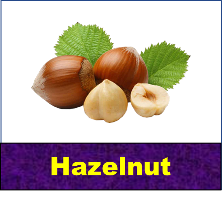 Hazelnut