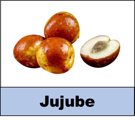 Jujube