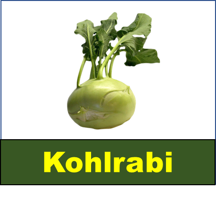 Kohlrabi