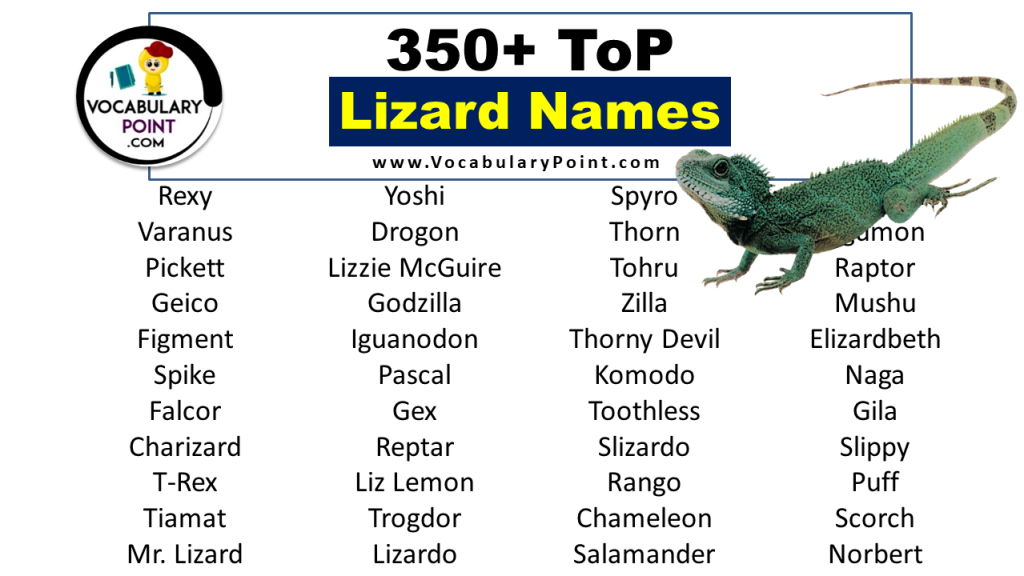 350+ Top Lizard Names (Best, Cute, Funny And Pet) - Vocabulary Point