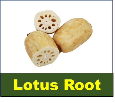Lotus Root