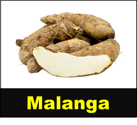 Malanga
