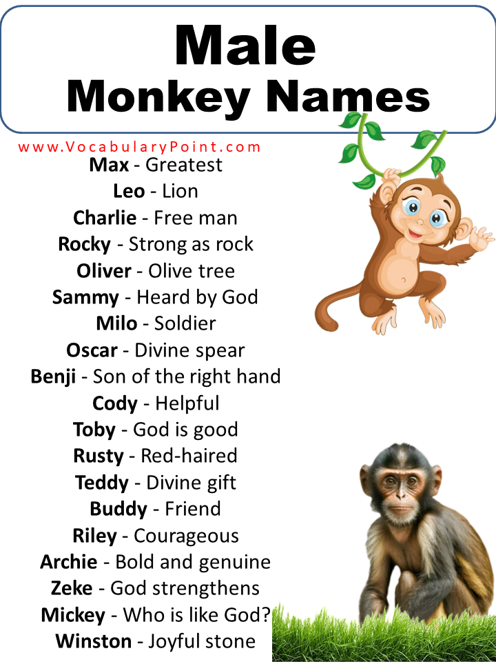 Male Monkey Names
