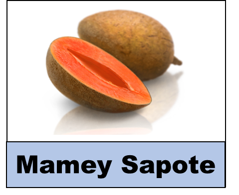 Mamey Sapote