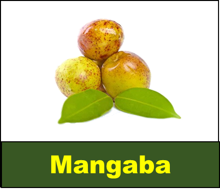 Mangaba