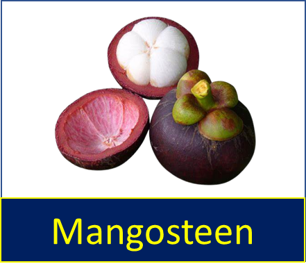Mangosteen