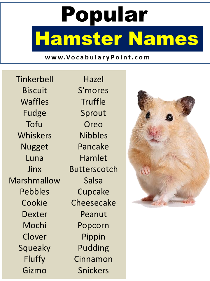 Most Popular Hamster Names