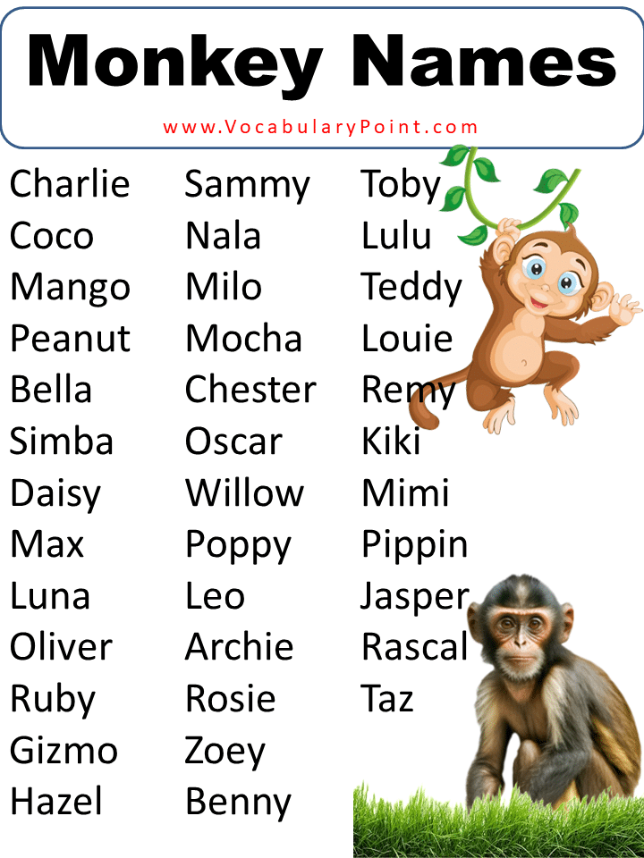 600 + Funny Monkey Names (Famous, Pet, Male & Female) - Vocabulary Point