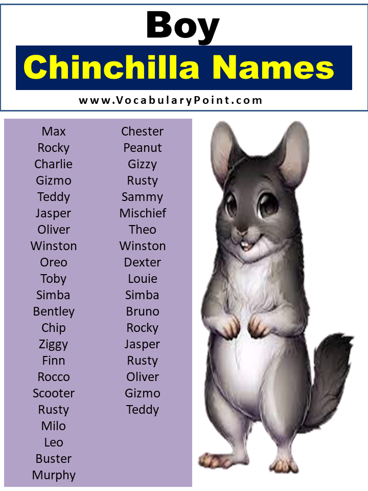 Names For Boy Chinchillas