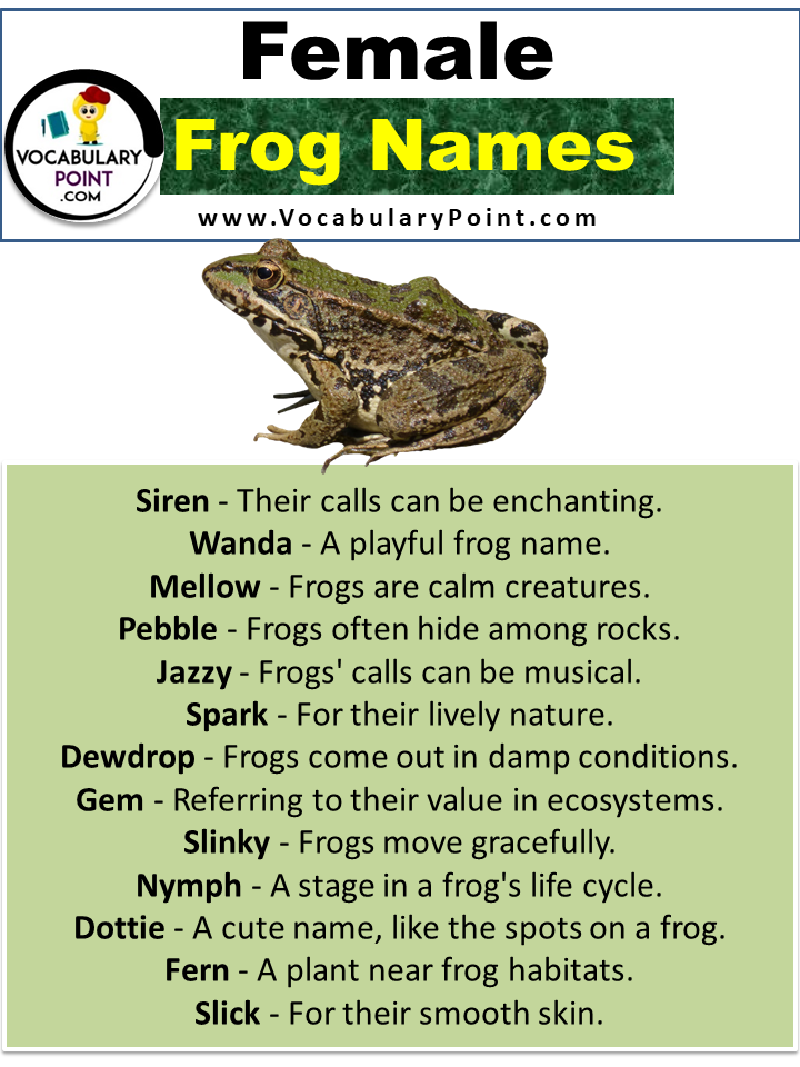 Names For Female Frogs