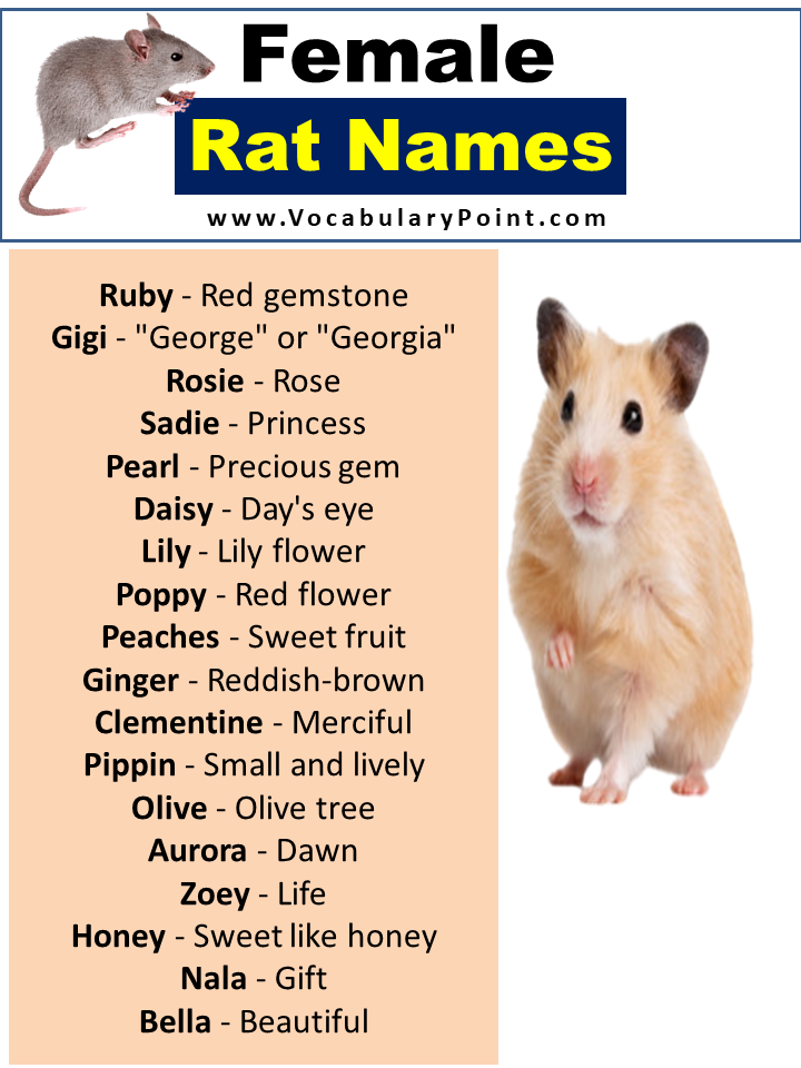 Names For Female Rats