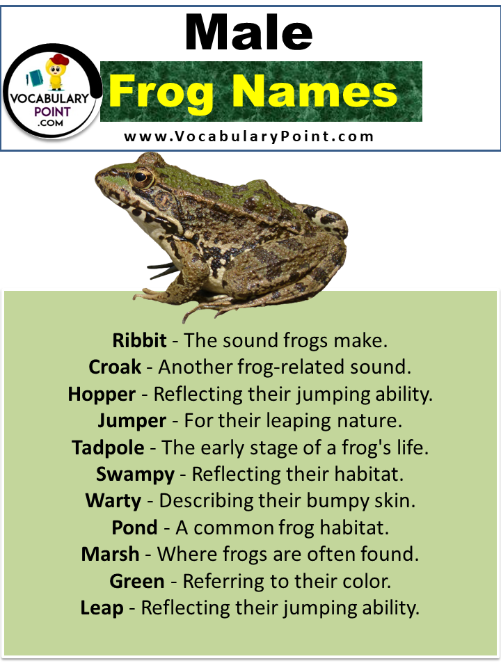 Names For Male Frogs