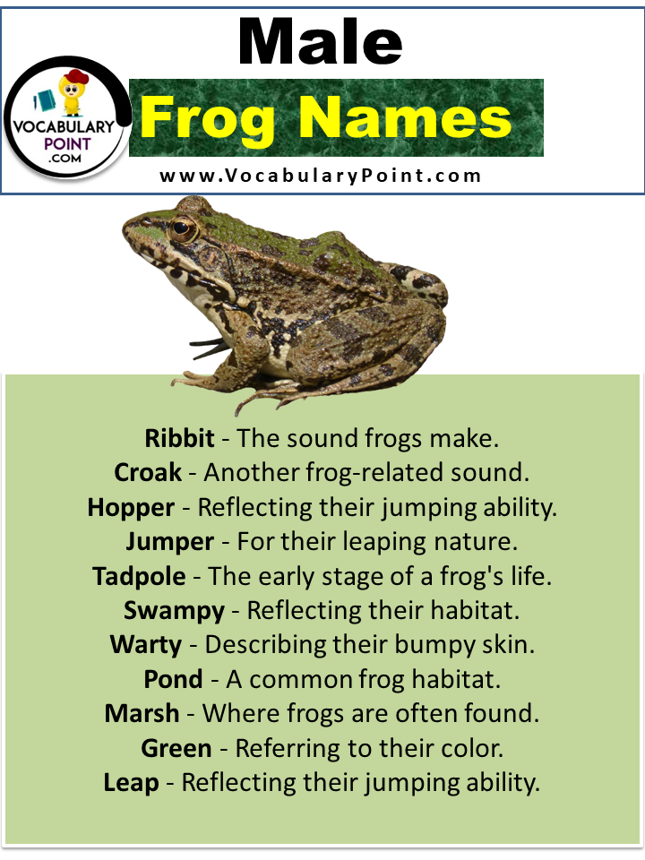 Frog Names (Best, Funny, Cute, Male & Female) - Vocabulary Point