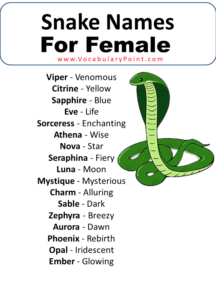 Names For Snakes Female