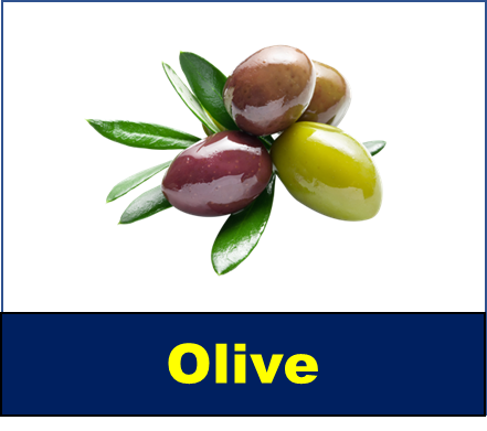 Olive