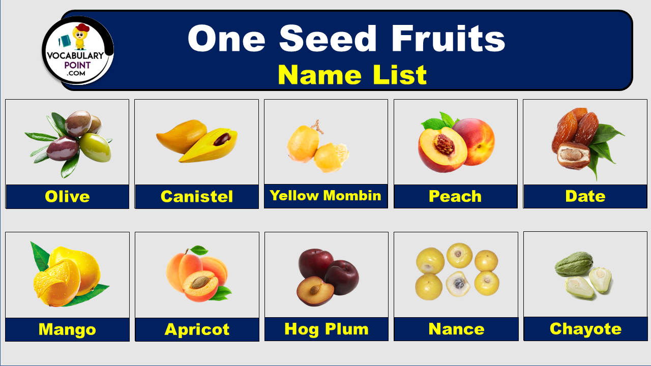 One Seed Fruits Name List