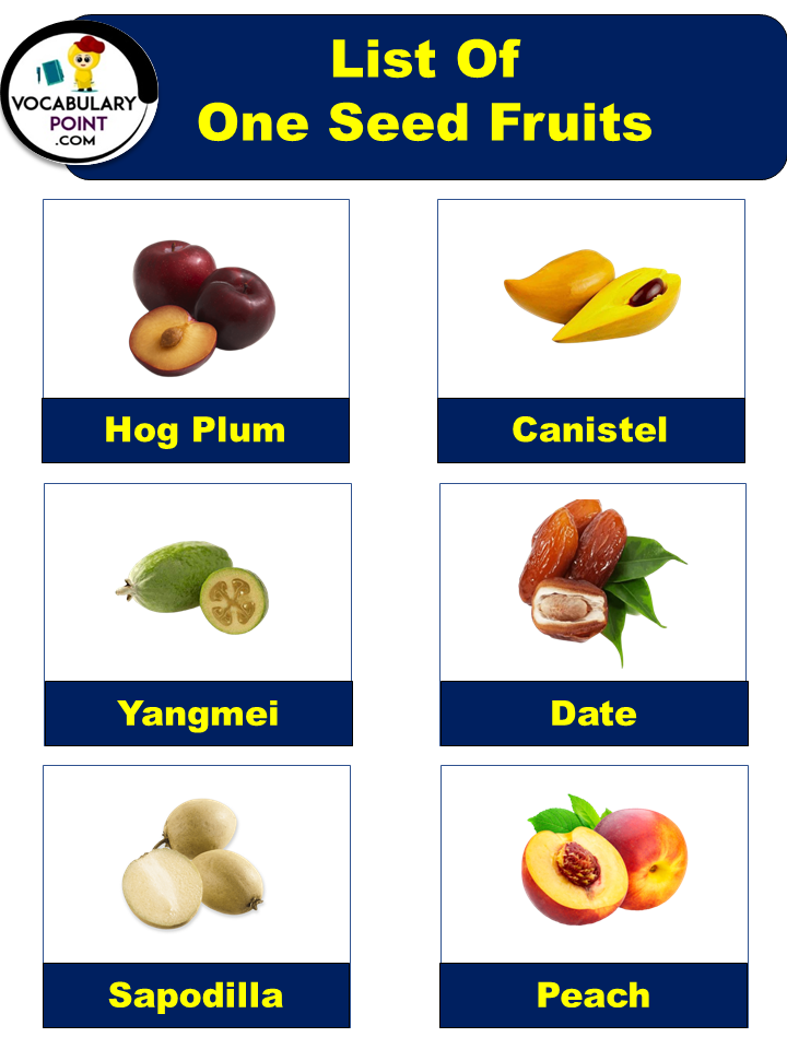 One Seed Fruits Name with pictures
