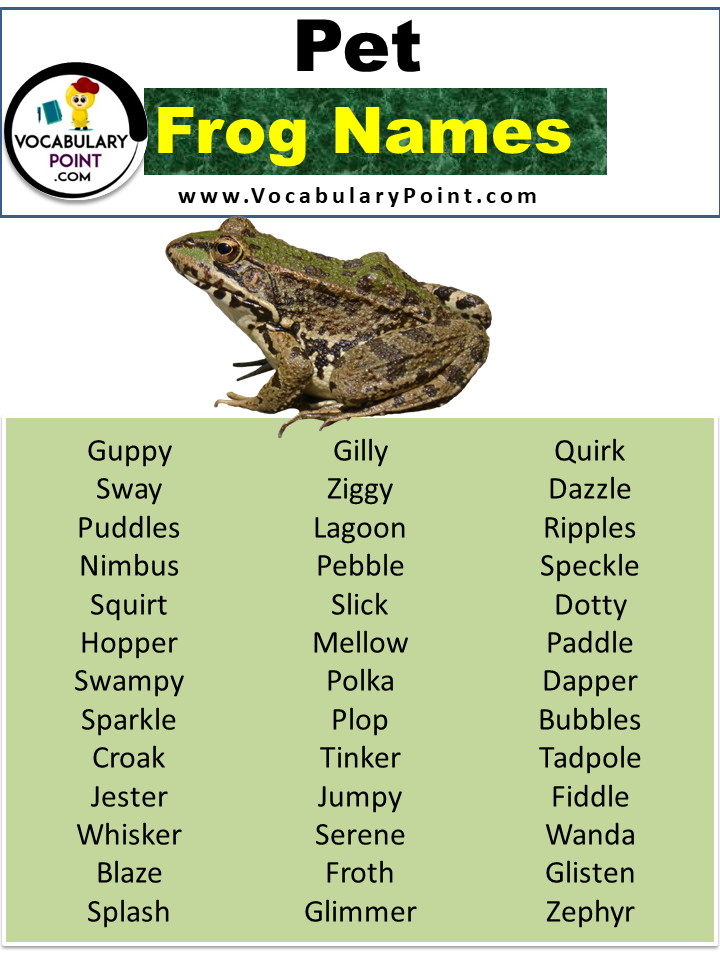 Frog Names (Best, Funny, Cute, Male & Female) - Vocabulary Point