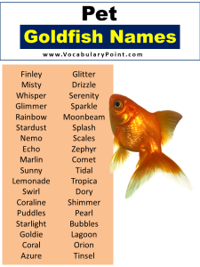 Unique Goldfish Names (Funny, Cool & Pet) - Vocabulary Point