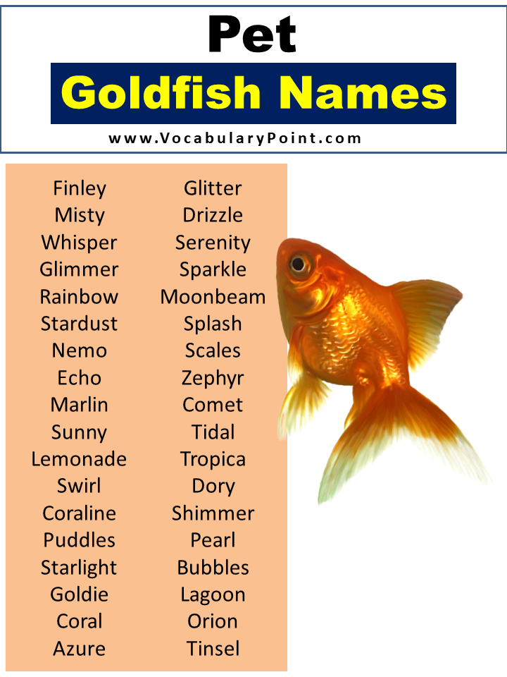 Pet Goldfish Names