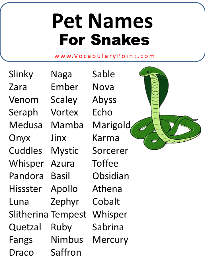 Pet Names For Snakes