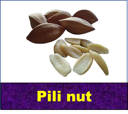 Pili nut