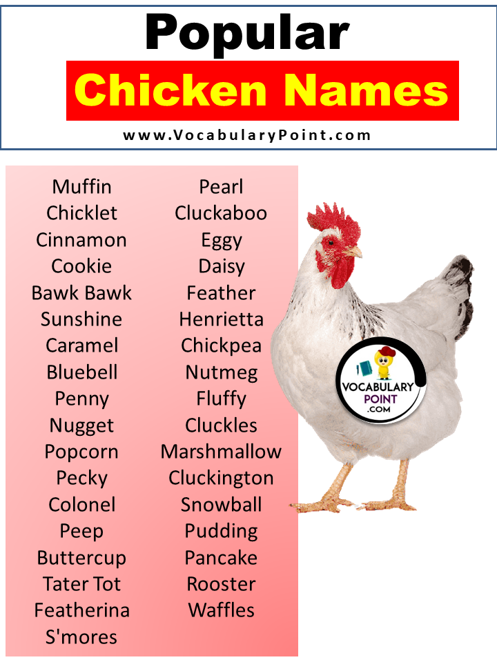 Popular Chicken Names