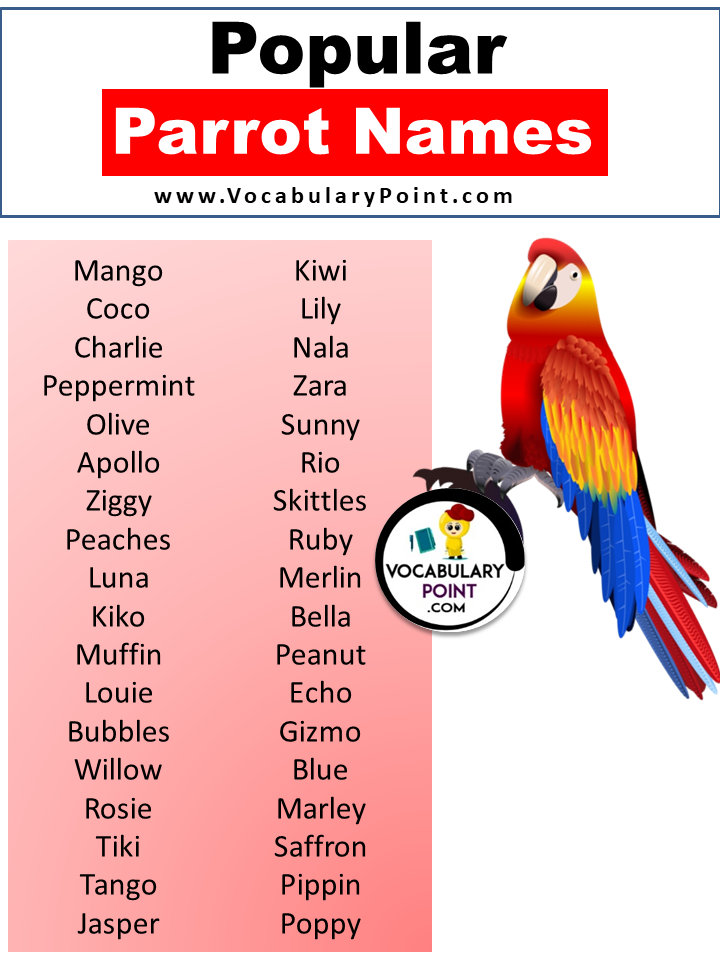 Popular Parrot Names