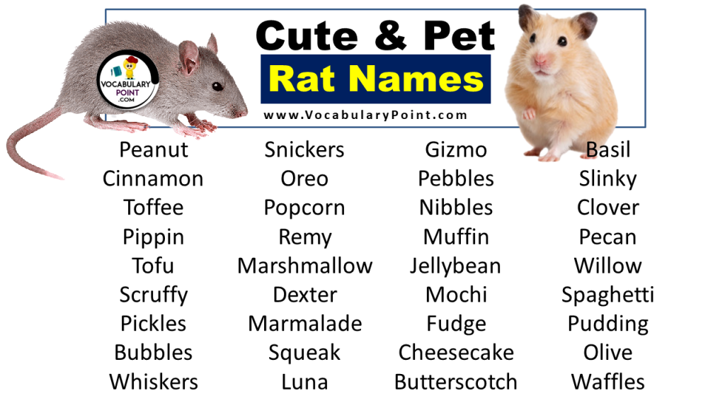 cute-pet-rat-names-famous-disney-rats-vocabulary-point