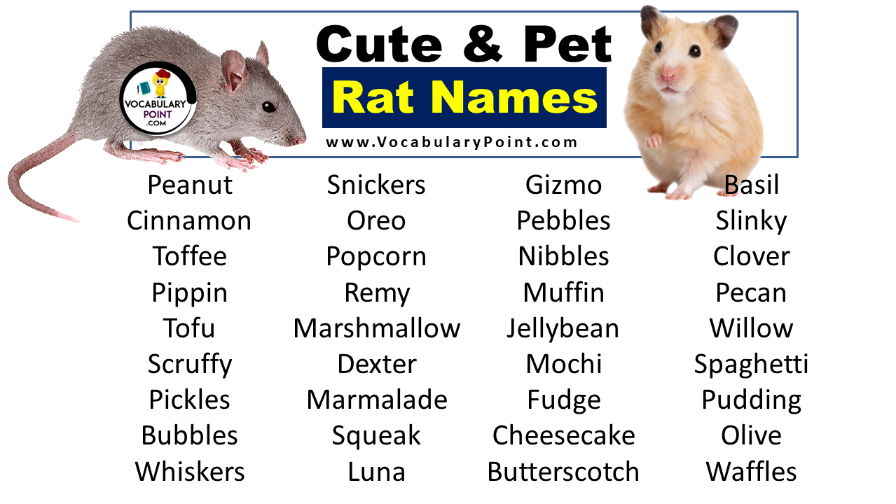 Rat Names