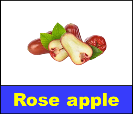 Rose apple