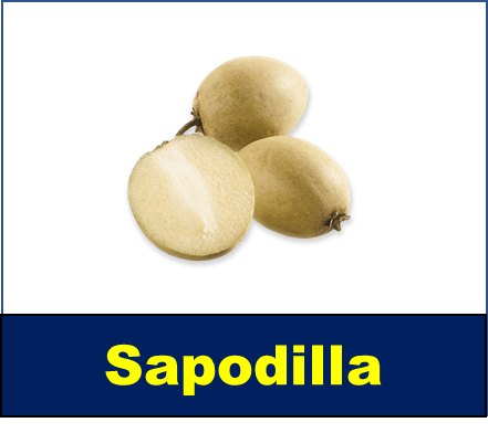 Sapodilla