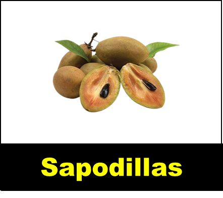 Sapodillas