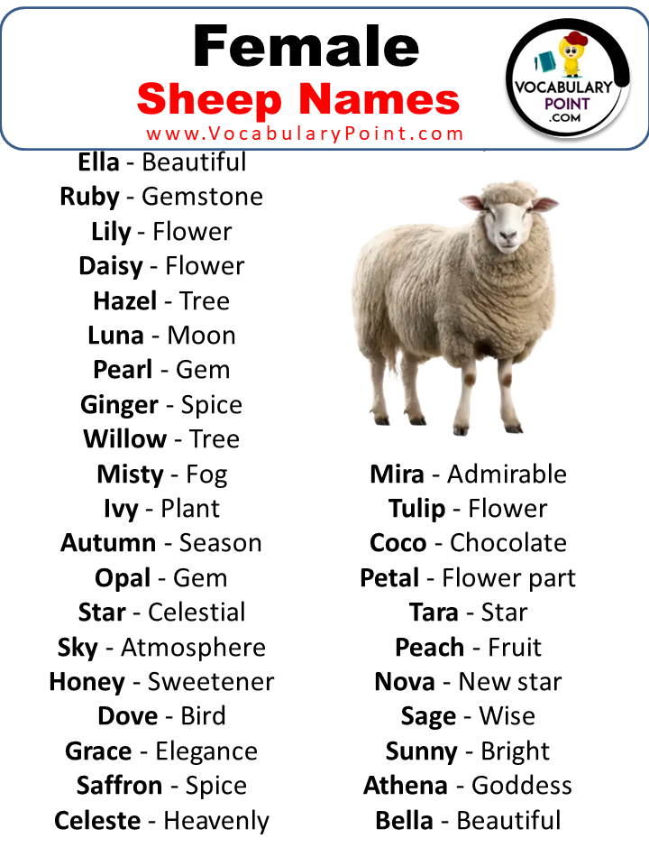 Sheep Names Female