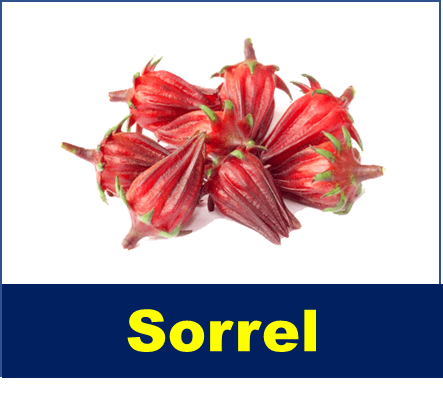 Sorrel