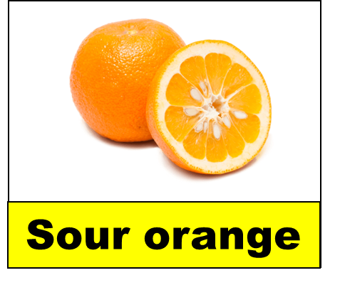 Sour orange