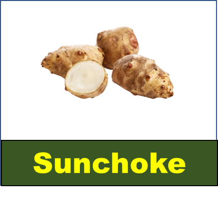 Sunchoke