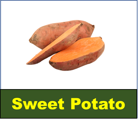 Sweet Potato