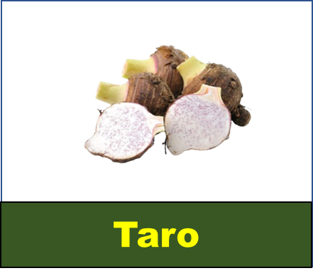 Taro